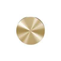Blind rose GPF0900VRP4 53x6mm PVD brass satin