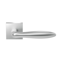 GPF1314.09.02 stainless steel Rangi door handle on rose 50x8mm