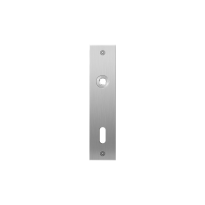 Flat backplate GPF1100.16L/R lock 72 left-/right handed satin stainless steel