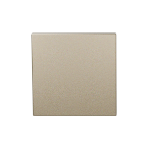 Blind rose GPF199E 53x53x6,5 mm Champagne blend 