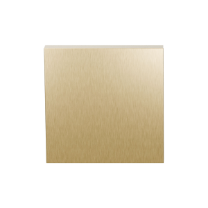Blind rose GPF199E 53x53x6,5 mm PVD Satin Brass
