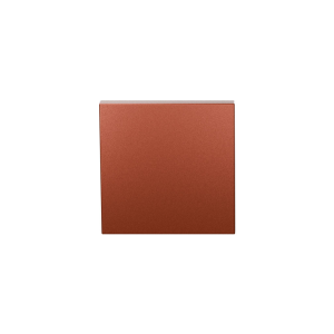 Blind rose GPF199E 53x53x6,5 mm Terra 
