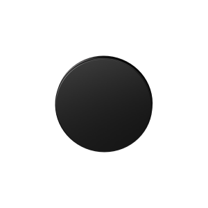 Blind rose GPF6900VZ 53x6mm plain black
