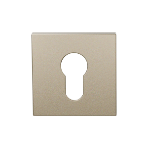 Cylinder rose GPF199E 53x53x6,5 mm Champagne blend 