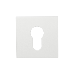 Cylinder rose GPF199E 53x53x6,5 mm White