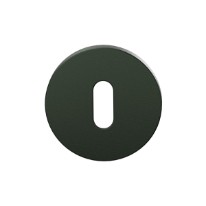 Keyhole escutcheon GPF199E 53x6,5mm Moss 