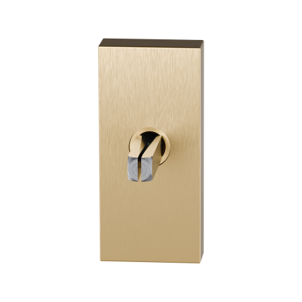 gpf1131-p4-0040-pvd-brass-satin-tilt-and-turn-mechanism-handle-rectangular-65x30x12mm
