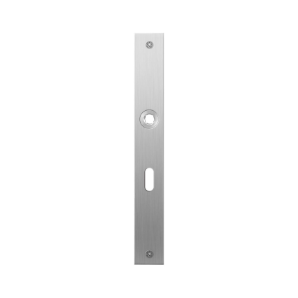 flat-backplate-gpf1100-28l-r-lock-56-left-right-handed-satin-stainless-steel