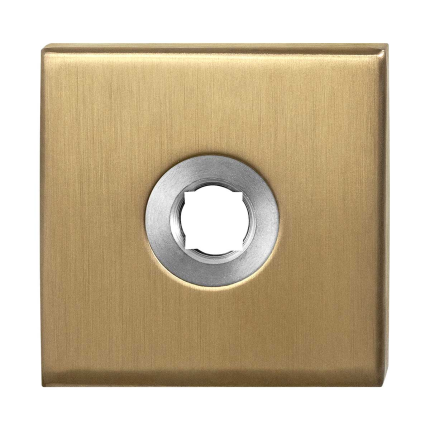 rose-gpf1100-02p4-50x50x8mm-pvd-brass-satin